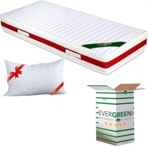 EVERGREENWEB Materasso Singolo 80x190 in Memory Foam & Waterfoam Ortopedico Alto 22 cm con Cuscino Letto Gratis Lastra Massaggiante